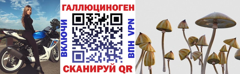 Галлюциногенные грибы Psilocybe Спасск-Рязанский